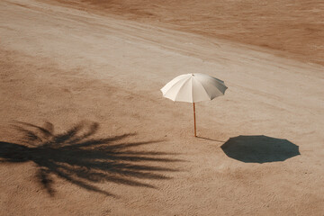 minimalist of palm tree shadow on sand at bright noon