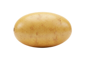 Isolated Whole Raw Potato with Smooth Skin