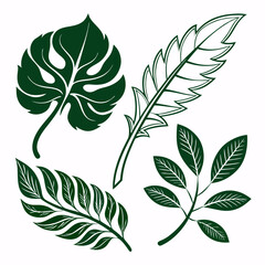 vector set of green leaves
