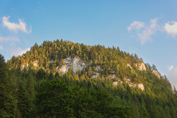 Rocky Cliff with Pine Trees at Sunset in Romania – Typical Scenic Landscape

