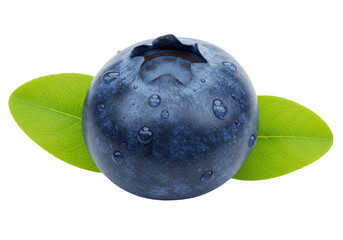 Isolated Fresh Blueberry with Leaves Water Droplets
