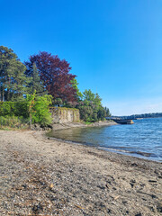 Obraz premium Scenic Pebble Beach and Rocky Shoreline with Trees on Sunny Summer Day