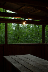 Light bulb in a gazebo in the forest	