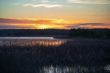 Golden dawn mist over a serene lake and reeds