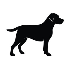 Labrador Retriever silhouette on white background