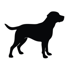 Labrador Retriever silhouette on white background