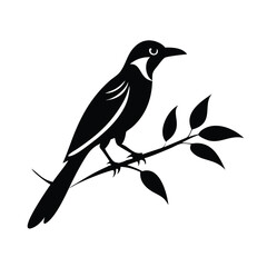 Monochrome bird perched on branch with leaves 