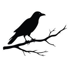 ominous lonely raven sitting on a long leafless tree branch - black crow bird Halloween theme vector silhouette design 