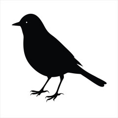 robin bird ,vector illustration , black silhouette on withe background