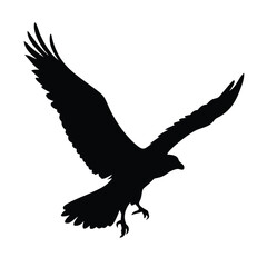 Obraz premium Vector silhouette of the Bird of Prey (Osprey) in flight with wings spread. on white background