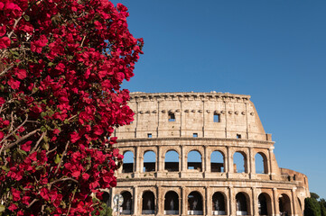 Obraz premium Colosseum (Coliseum) Building in Spring, Rome, Italy.