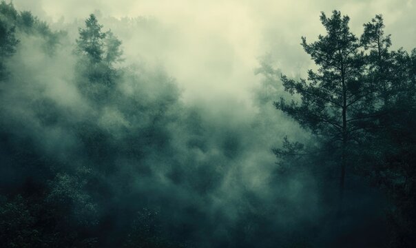 A forest with foggy trees and a misty atmosphere