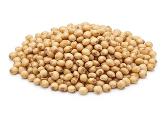 A pile of uncooked sorghum grains isolated on white background, showcasing its nutritional value
