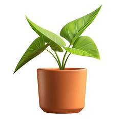 Vibrant plant in pot: A close-up shot of a lush, verdant plant, with large, heart-shaped leaves, thriving in a terracotta pot, showcasing the beauty of nature and the art of interior gardening.