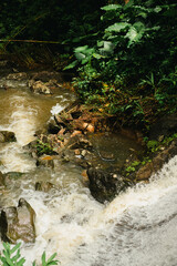 A small, cascading waterfall rushes over rocks in the middle of a tropical forest in Puerto Rico
