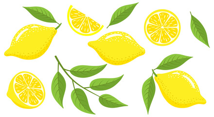 Fresh lemons with leaves set. Ripe lemon slices and whole lemon isolated on white background. Vector illustration.