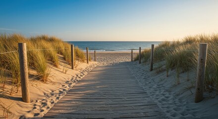 The Path to the Beach
