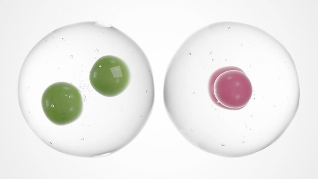 Two Transparent Liquid Drops with Air Bubbles and Colorful Cores on White Background &ndash; 3D Animation Featuring Green and Pink Molecular Elements for Cosmetic or Biomedical Concepts