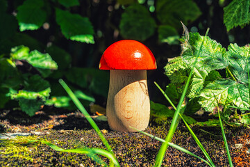 Wood mushroom among leaves