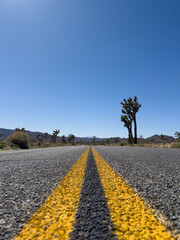Low angle view of double yellow line on a street at Joshua Tree National Park, California, USA...