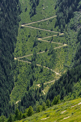 aerial view of serpentine road through green forest in the mountains