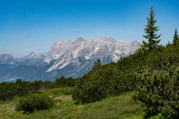 hiking path with Dachstein glacier in the background