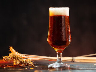 Cold beer glass with water drops on table close-up, wheat ears, copy space