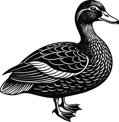 Elegant Black and White Illustration of an Eastern Spot-billed Duck