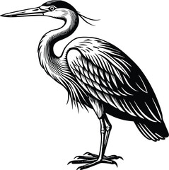 Elegant Grey Heron Bird Illustration  High-Resolution Vector Graphic