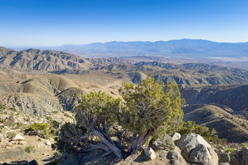 Scenic view from Keys View at Joshua Tree National Park across Little San Bernardino Mountains into the Coachella Valley, California, USA against blue sky