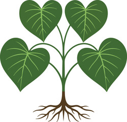 Green heart shaped leaves plant with roots vector illustration for nature and growth concepts design ideas