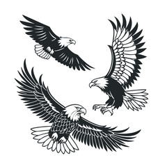 Fototapeta premium Majestic Eagles in Flight A Trio of Soaring Birds