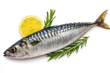 Fototapeta premium A raw mackerel lies beside a lemon wedge and rosemary sprigs on a white background