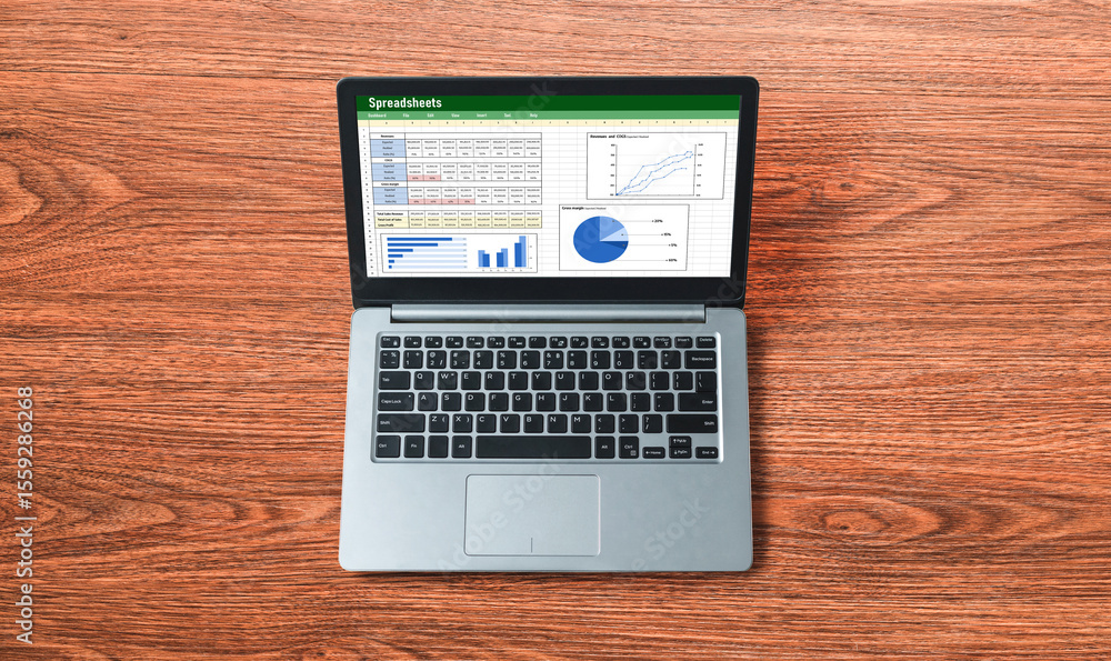 Poster spreadsheet document information financial startup concept. data and graphs in spreadsheet documents