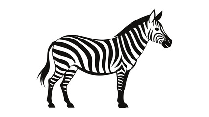 Fototapeta premium Vector illustration of an elegant zebra in monochrome rendering on a transparent background.