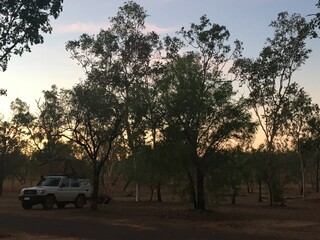 Fototapeta premium sunset dusk in the bush outback with 4x4