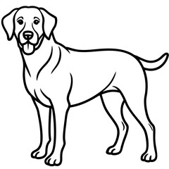 Chesapeake Bay Retriever Silhouette Vector