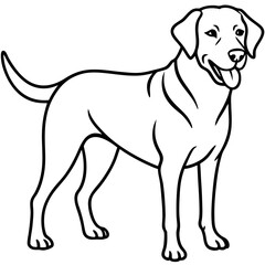 Chesapeake Bay Retriever Silhouette Vector