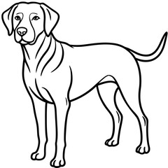 Chesapeake Bay Retriever Silhouette Vector