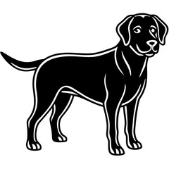 Chesapeake Bay Retriever Silhouette Vector