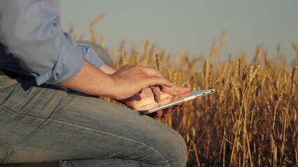 man sitting field tablet hand. holding pen piece paper, farmer examines wheat, digital tablet helps...