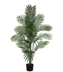 realistic 3d render of tropical palm plant in black pot with long green fronds, indoor houseplant decor isolated on transparent background