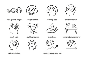 Brain development stages and neural adaptation icons