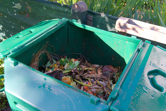 Embrace eco-friendly living with this vibrant image of a compost bin brimming with organic waste. It highlights sustainable practices and the natural cycle of decomposition.