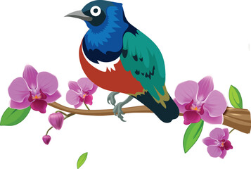 blue bird on a branch