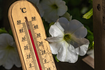 Wooden mercury thermometer, measuring temperature in the orchard,