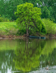 Green Tree Reflection in Lake with Boats and Ducks – Rural Landscape Scene