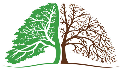 Two Halves of a Tree Green Foliage and Bare Branches.