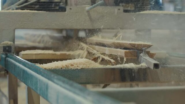 Industrial saw is cutting the timber material on a conveyor. Modern saw with sharp blades is cutting the timber boards. Industrial sawing equipment is cutting the excess timber from the planks.