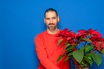 Bearded Hispanic man in his 40s wearing a red sweater holding a pretty, typical Spanish Christmas plant. Isolated on a blue background.